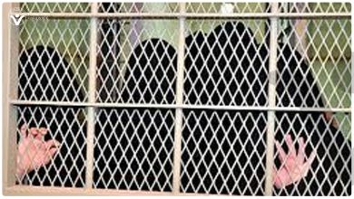 940 days have passed since the arrest of Dr. Lina Al-Sharif